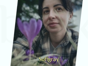Sofi_gray