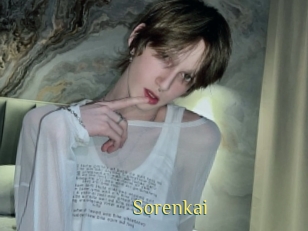 sorenkai Brutal Spankings