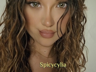 Spicycylia