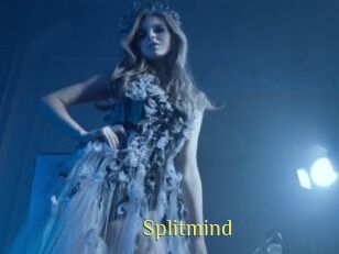 Splitmind