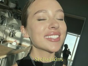 Stellaatkins