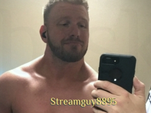 Streamguy8895