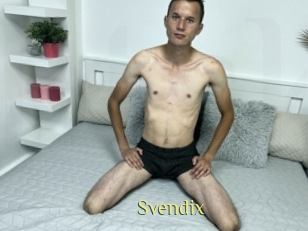 Svendix