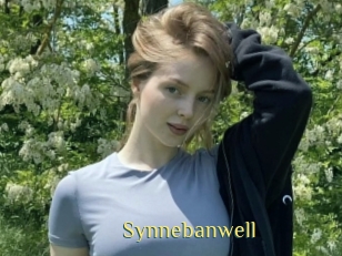 Synnebanwell