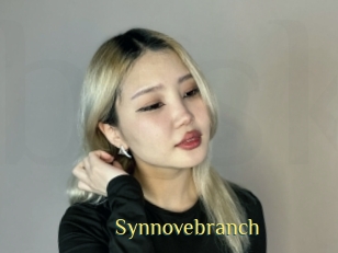 Synnovebranch