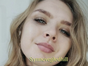 Synnovegledhill