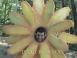 TEDDY_BEAR_SEXY
