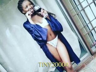 TINY20004