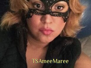 TSAmeeMaree