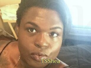 TS_Shea