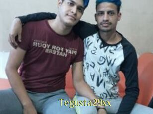 Tegusta29xx