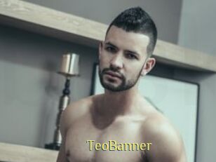 TeoBanner