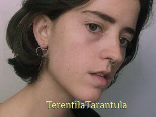 TerentilaTarantula
