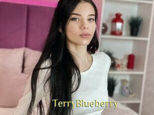TerryBlueberry