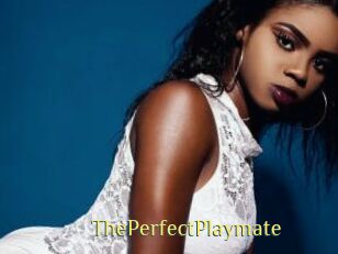 ThePerfectPlaymate