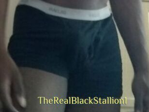 TheRealBlackStallion1
