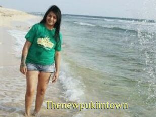 Thenewpukiintown
