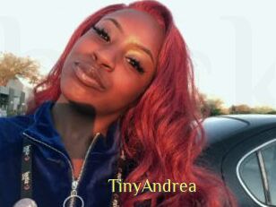 TinyAndrea