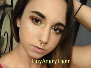 TinyAngryTiger
