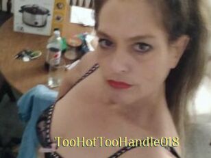 TooHotTooHandle018
