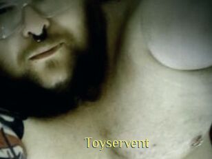 Toyservent