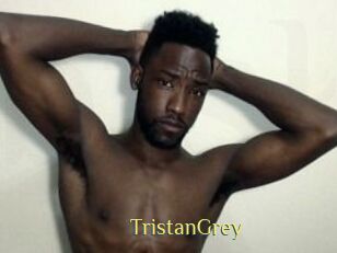 Tristan_Grey Brutal Spankings