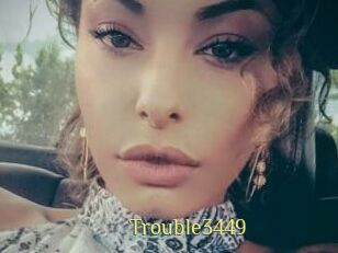Trouble3449