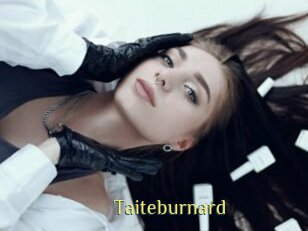 Taiteburnard