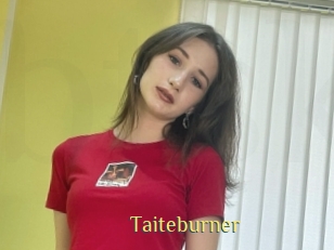 Taiteburner