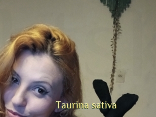 Taurina_sativa
