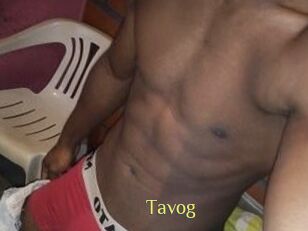 Tavog