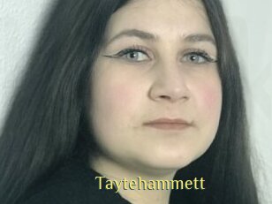 Taytehammett