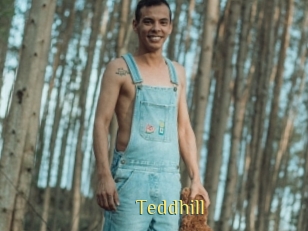 Teddhill