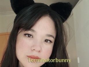 Terminatorbunny