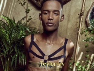 Teylorray