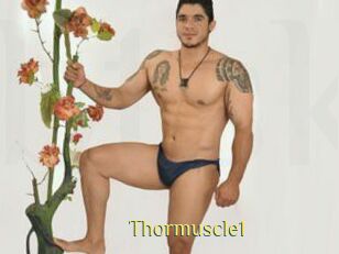 Thormuscle1