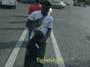 Tigrenegro