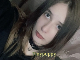 Tinypuppy