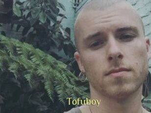 Tofu_boy