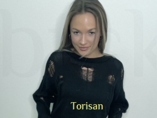 Torisan