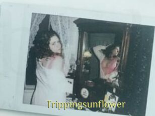Trippingsunflower