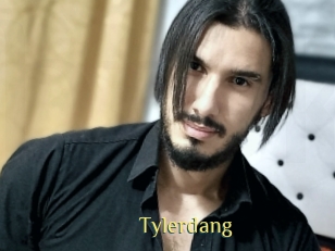 tylerdang Brutal Spankings
