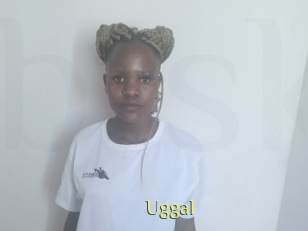 Uggal