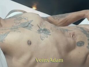 VeinsAdam