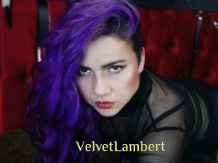 VelvetLambert
