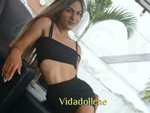 Vidadollche