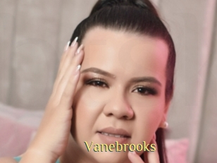 Vanebrooks