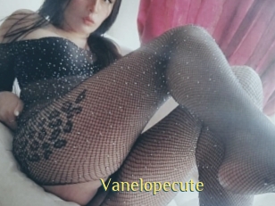 Vanelopecute