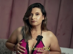 Vaneortiz