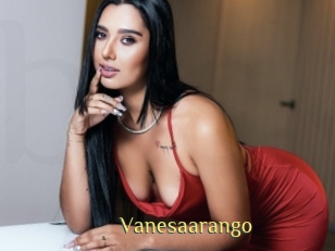 vanesaarango Brutal Spankings